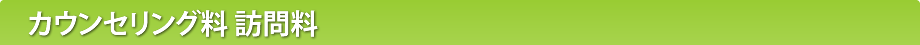 カウンセリング料 訪問料カウンセリング料 訪問料