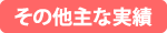 その他主な実績